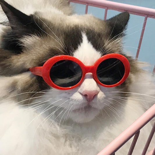 Lovely Vintage Round Cat Sunglasses Reflection glasses